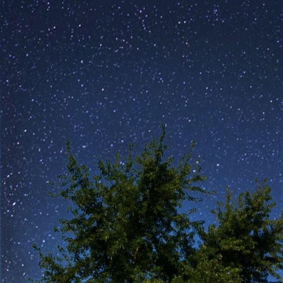 Meet your Posher, Patricia - Picture 1 of 1